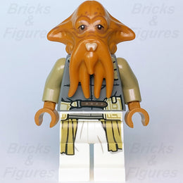 productimage1