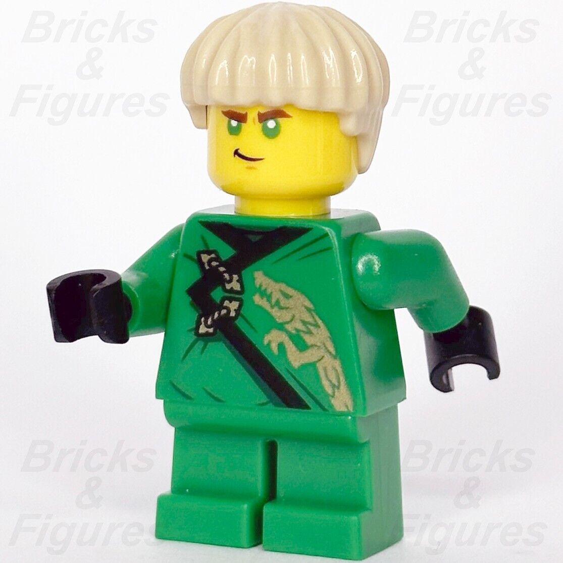 Lloyd Trottole Ninjago Lloyd Garmadon Lloyd Ninjago Movie