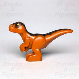 LEGO Jurassic World Baby Raptor Animal Dinosaur Part 75929 75930 10758 1218011