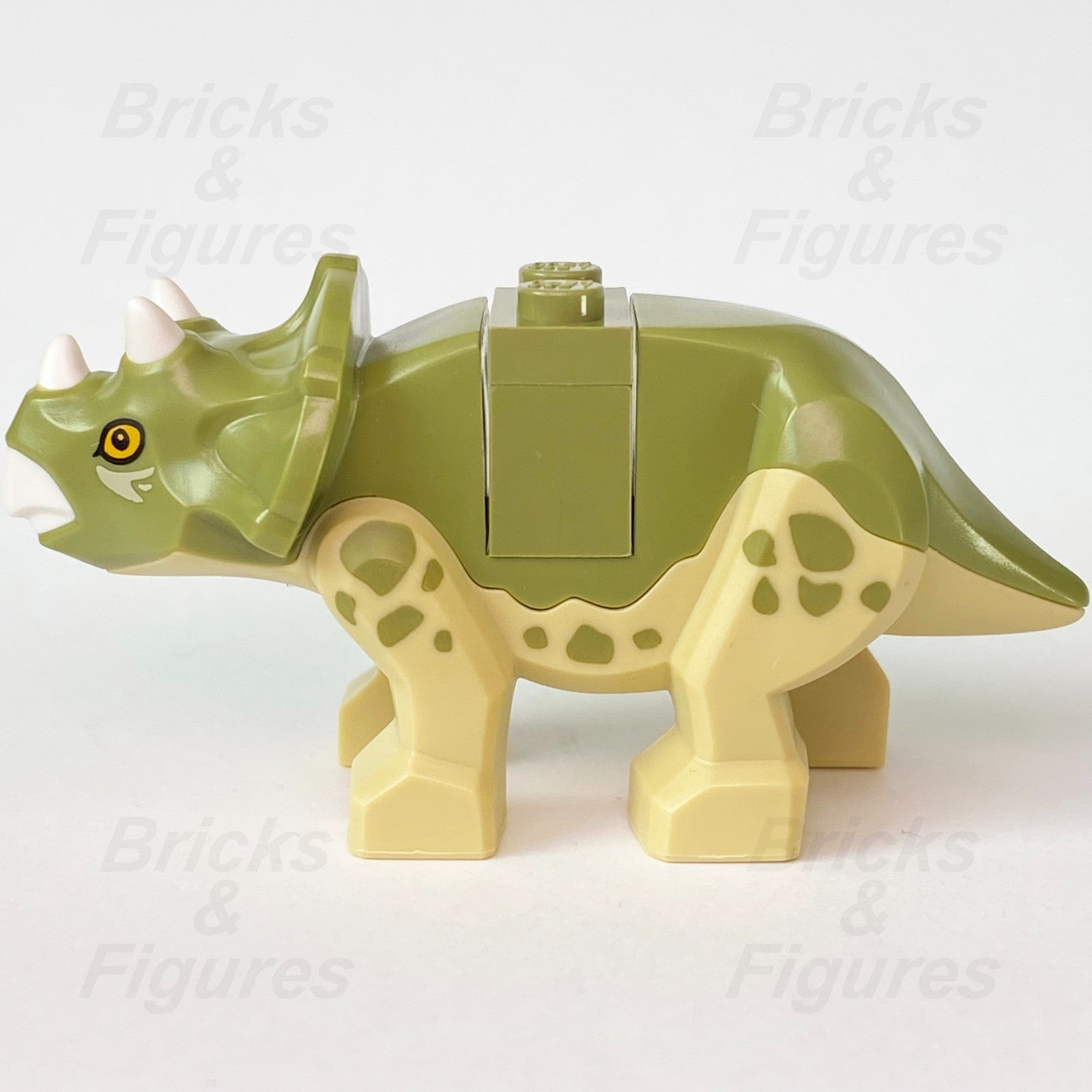 LEGO Jurassic World Triceratops Baby Dinosaur Minifigure Part 75939 Olive Green1