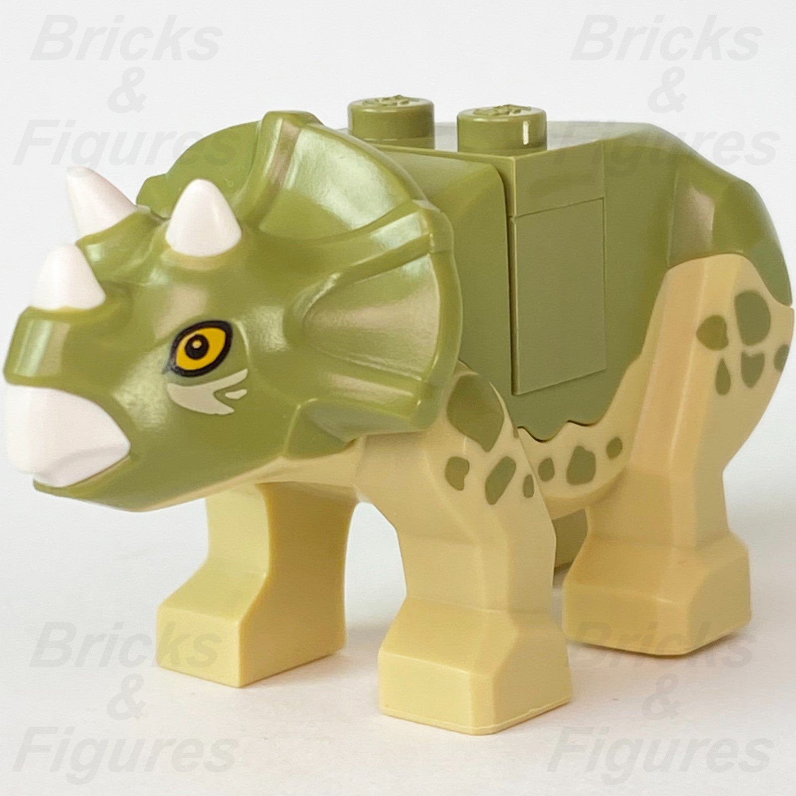 LEGO Jurassic World Triceratops Baby Dinosaur Minifigure Part 75939 Olive Green0