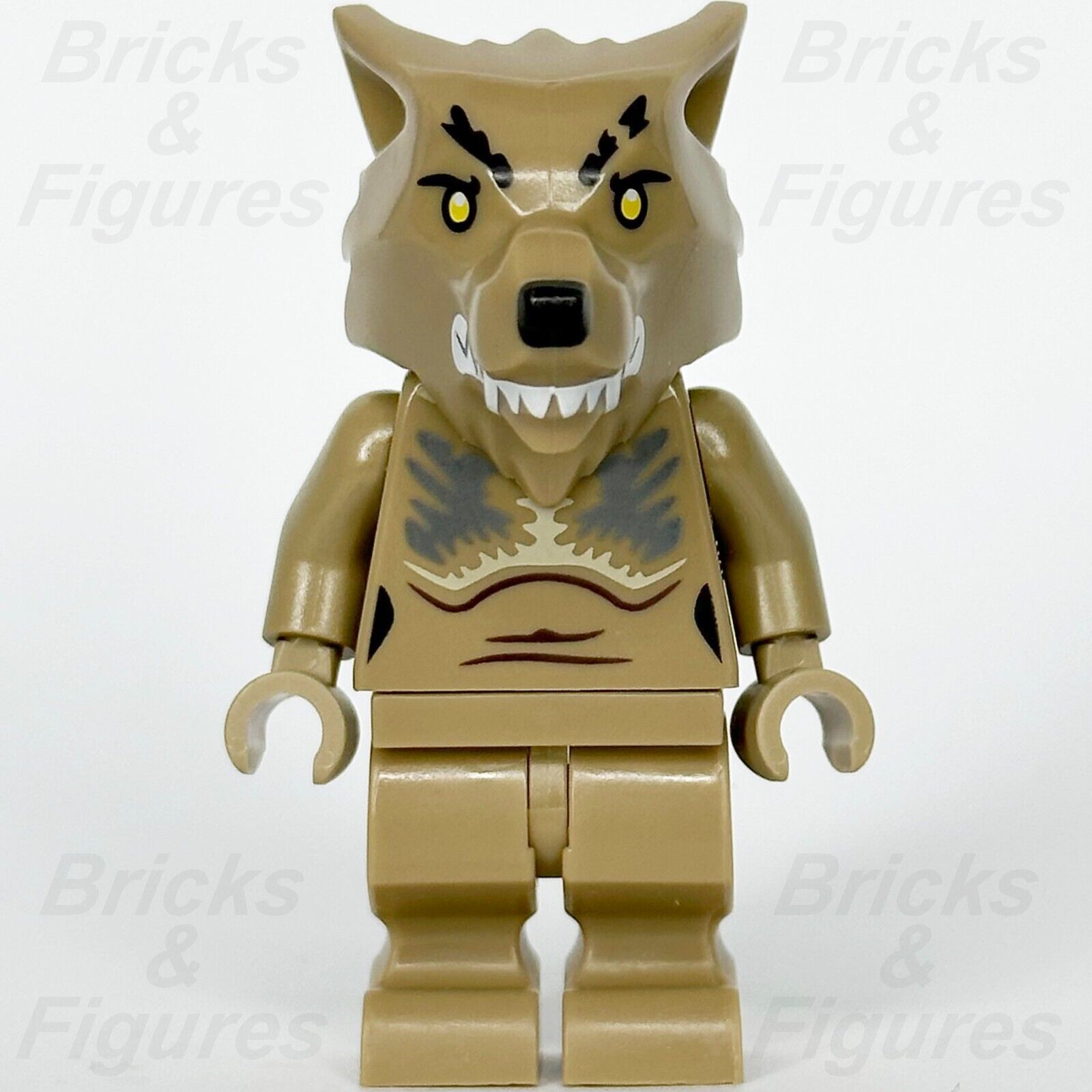 LEGO Harry Potter Professor Remus Lupin Werewolf Minifigure 76407 hp348 Wizard 2