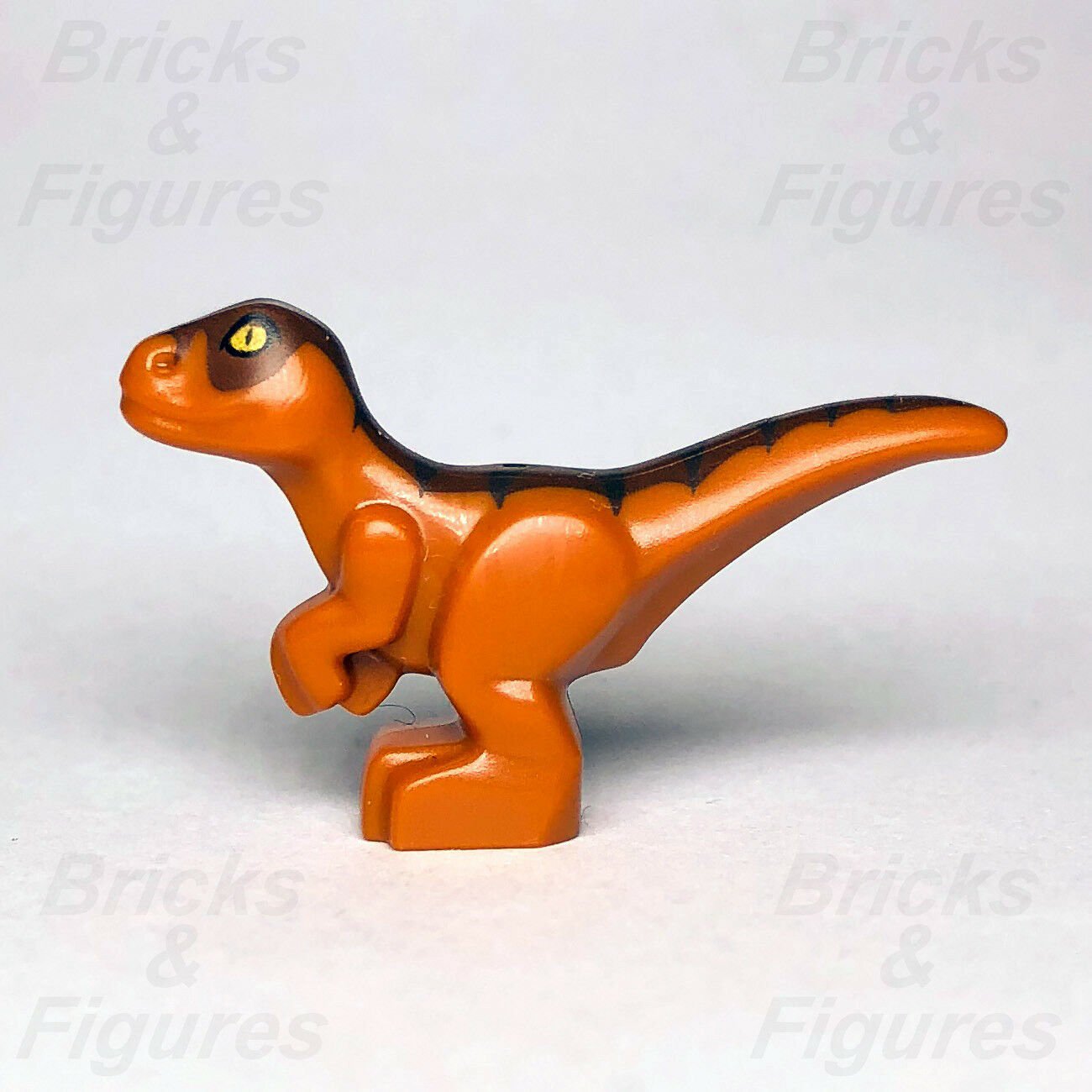 JURASSIC WORLD lego BABY RAPTOR dinosaur GENUINE dino 75929 75930 10758 121801 - Bricks & Figures