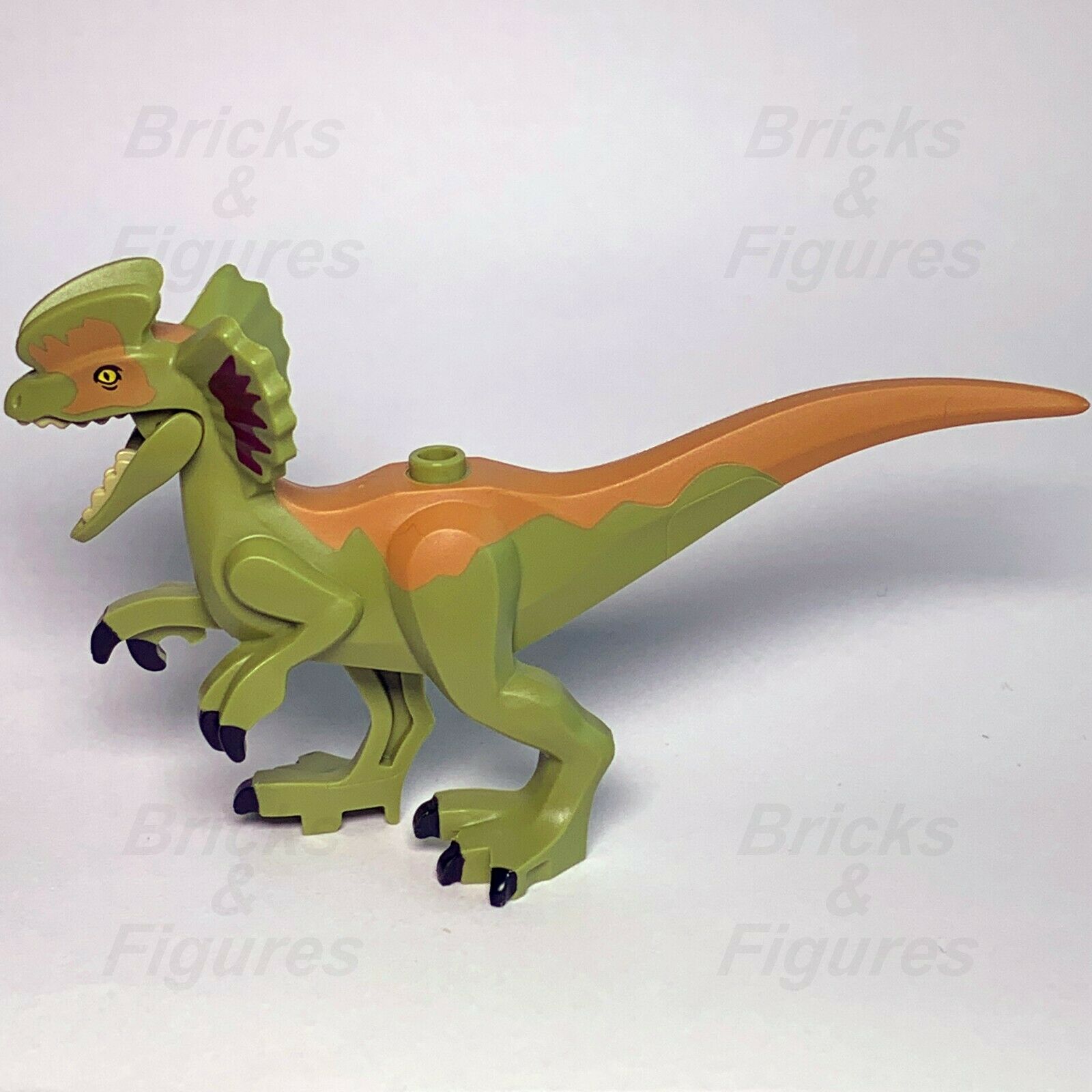 Jurassic World LEGO Dilophosaurus Dinosaur Legend of Isla Nublar 75934 Genuine - Bricks & Figures