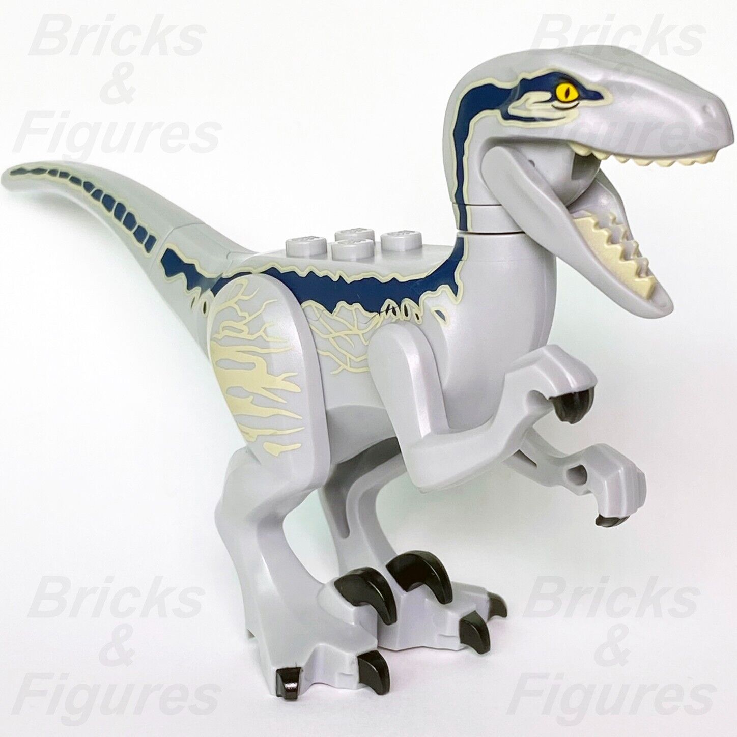 Jurassic World LEGO Raptor Blue Dinosaur Minifigure Part 76946 Raptor14 Genuine - Bricks & Figures
