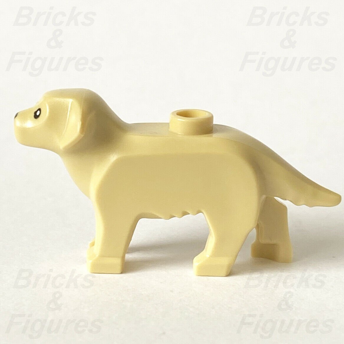New City Town LEGO Labrador / Golden Retriever Dog Animal Part from set 60291 - Bricks & Figures
