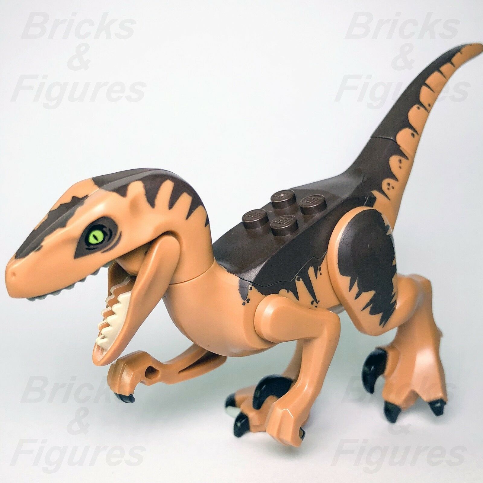 New Jurassic World LEGO Dark Brown Raptor Fallen Kingdom Dinosaur 75932 - Bricks & Figures