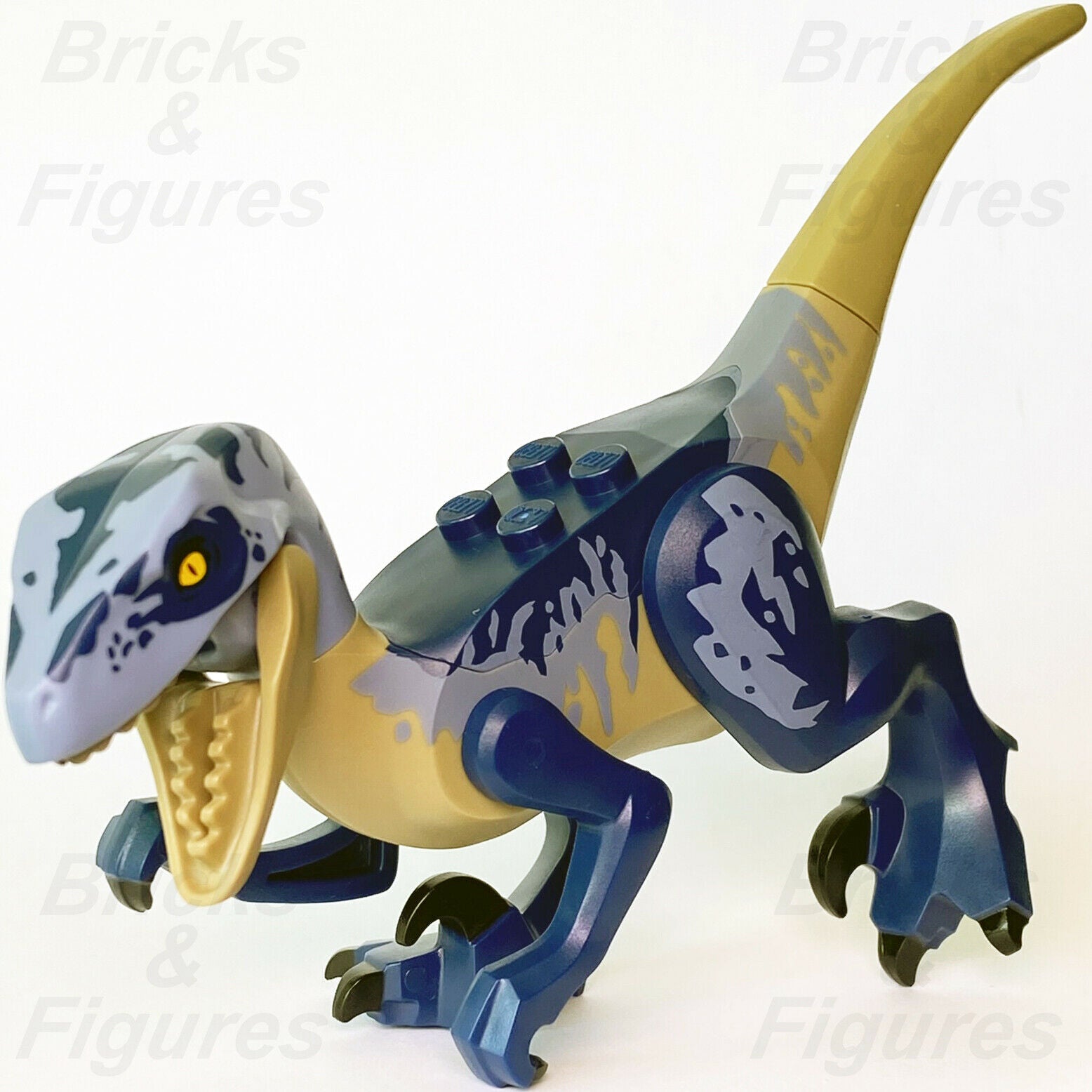 New Jurassic World LEGO Raptor Dark Blue & Sand Blue Markings Dinosaur 75942 - Bricks & Figures