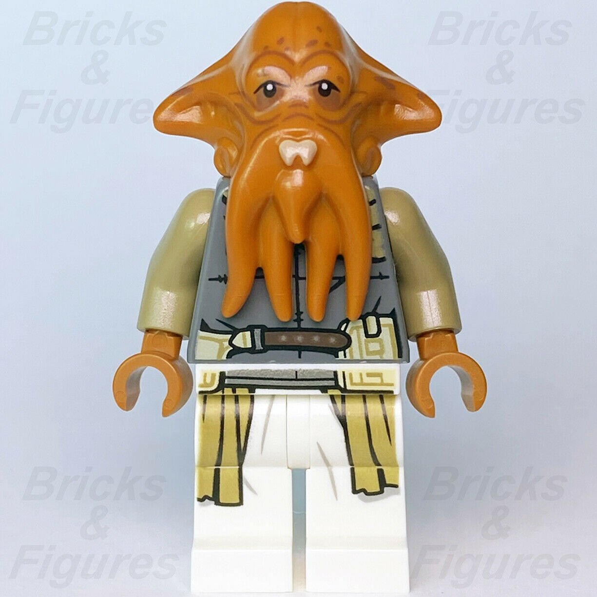 Star Wars LEGO Quarren Squid Head The Book of Boba Fett Minifigure 75326 sw1195 - Bricks & Figures