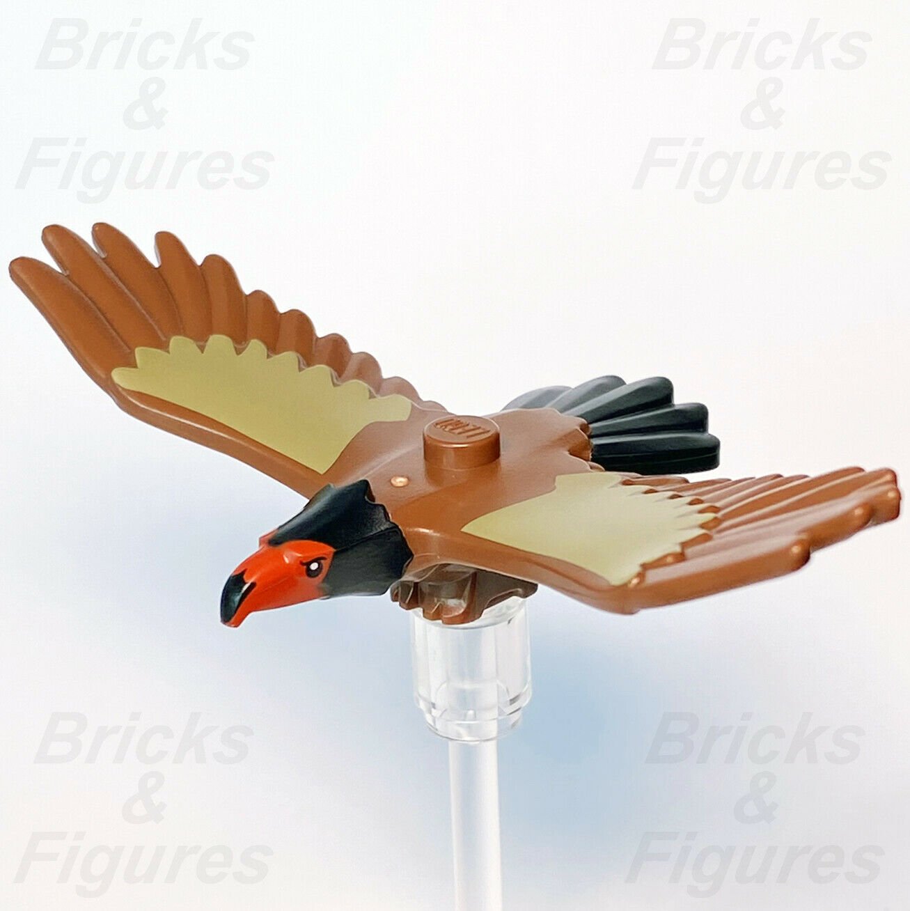 Town City Recreation LEGO Eagle Rare Wildlife Rescue Bird Animal Part 60307 - Bricks & Figures